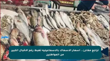 تراجع مفاجئ.. أسعار الأسماك بالإسماعيلية تهبط رغم الإقبال الكبير من المواطنين